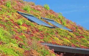 Whaplode Drove living roof systems