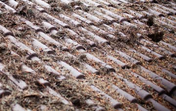 Whaplode Drove roof cleaning companies