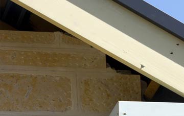 soffit repair Whaplode Drove