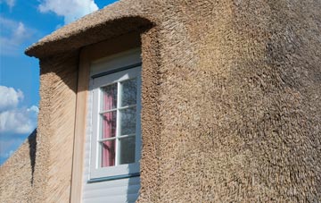 Whaplode Drove thatch roof disadvantages