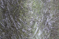 Whaplode Drove fibreglass roof work